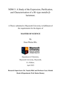 thesis printing maynooth